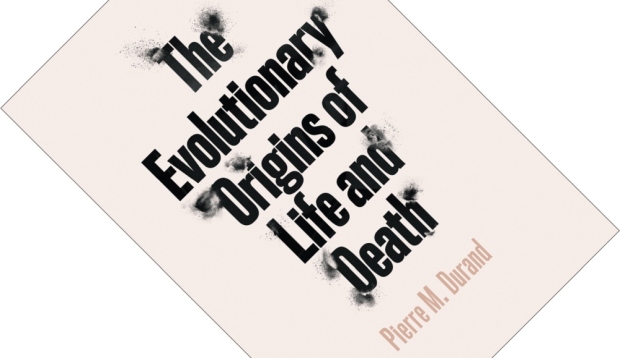 The Evolutionary Origins of Life and Death
