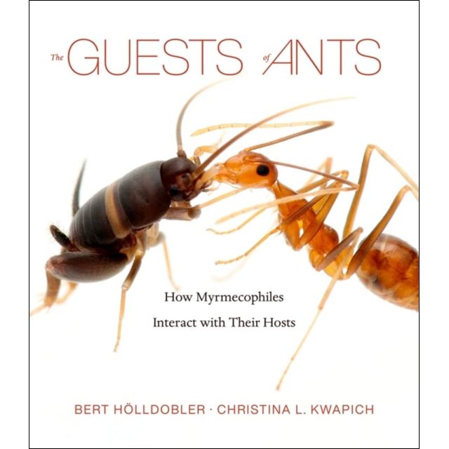 The Guests of Ants