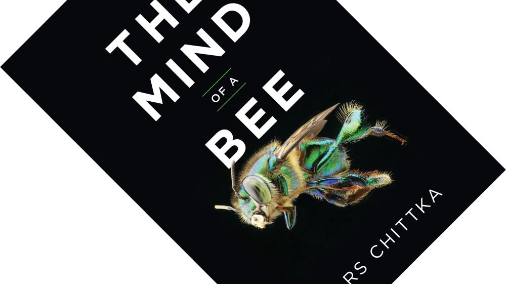 The Mind, Review