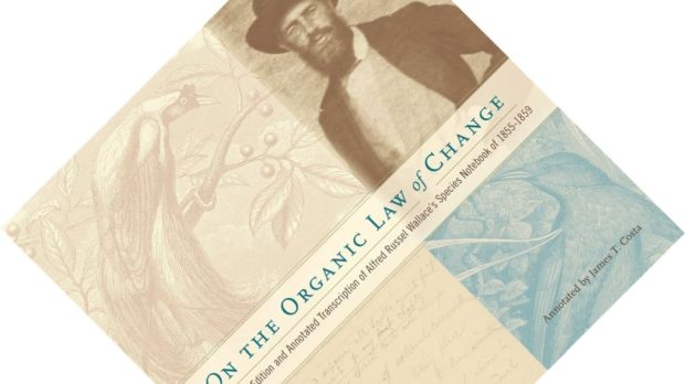 On the Organic Law of Change